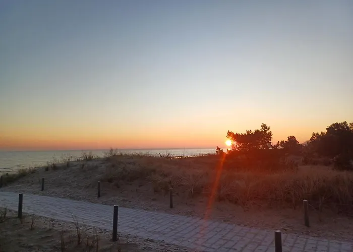 Haus Barnheide - Silbermoewe